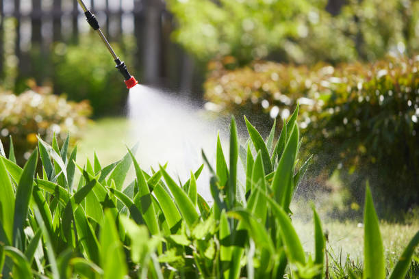 24/7 Emergency Wasp Removal experts in Paris, TX
